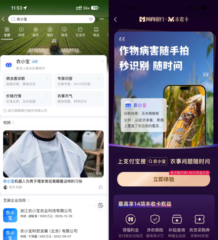 支付宝农小宝首次提问得1.88亓